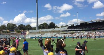 Does anybody know the Super Rugby season has started?