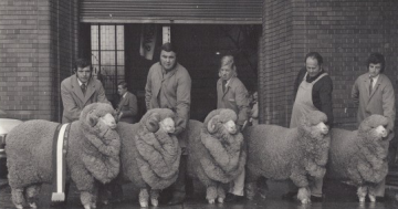 Farewell to Crookwell's John 'Sam' Williams, a true merino legend