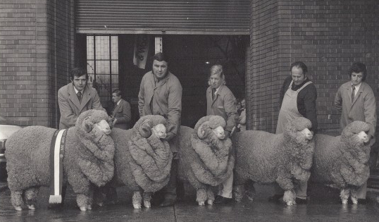 Farewell to Crookwell's John 'Sam' Williams, a true merino legend