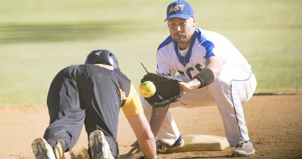 Canberra softballers take on the best with a swing and a prayer at skins competition
