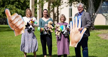 Canberra Day appeal calls us all to give where we live and do it for ourselves
