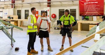 CIT can't confirm if $5 million contract was 'value for money'; 'dissatisfied' minister seeking advice