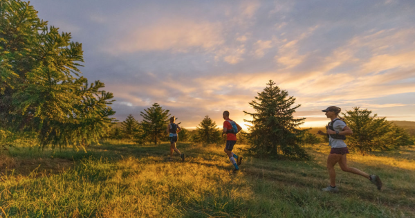 Canberra runners shine at Stromlo Running Festival