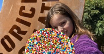 Junee is choc-full as the online demand for Easter goodies grows
