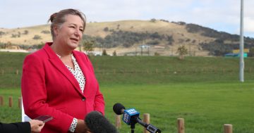 School enrolments stall as Tuggeranong schools struggle below capacity, Northside booms