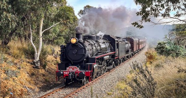NSW's favourite 'Picnic Train' is summering in Canberra