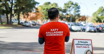 UPDATED: Labor predicted to form government; Pocock and Zed neck and neck in race for second ACT senate seat