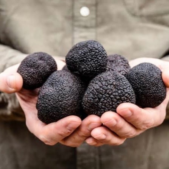 Handful of truffles