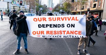 Canberrans among those arrested during alleged unauthorised Sydney protests