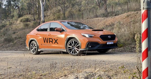 Meet new Rex, bolder than ever - and still good fun