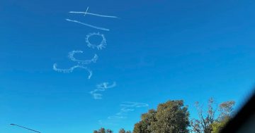 'Scott said yes': Canberra couple's skywriting proposal goes viral