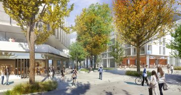 Quality Whitlam shops set to be a community hub