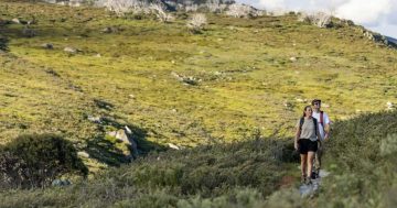 Canberra's in full bloom, so pull out your trekking poles and embrace spring