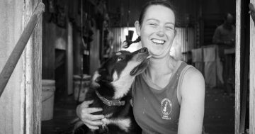 Women proving to be all class in the shearing industry