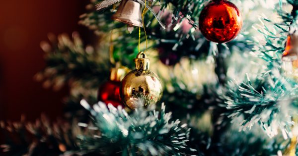Probing the polls: a close call on the city stadium and what to do with the Christmas decorations