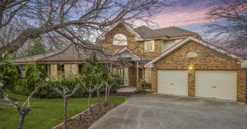 Auction results 18 - 24 July 2022