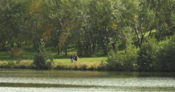 NCA to start asbestos remediation works on Acton Peninsula