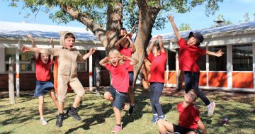 The best childcare centres in Canberra