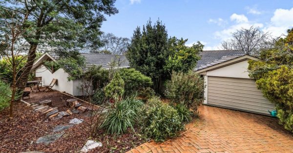 Auction results 8 - 14 August 2022