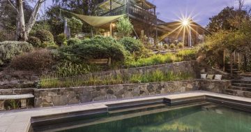 Auction results 19 - 25 September 2022