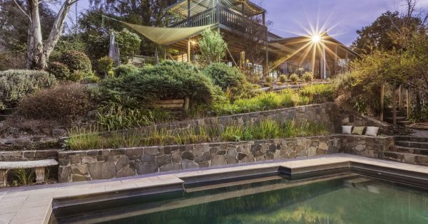 Auction results 19 - 25 September 2022