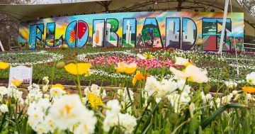 Floriade is back, but what's blooming this time?