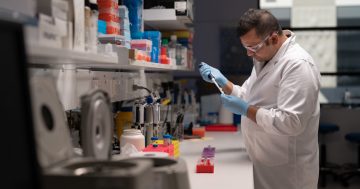 ANU creating DNA blueprints of First Nations peoples to improve health outcomes