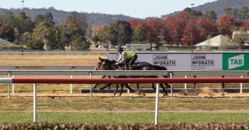 One of Canberra Racing Club's greats honoured ahead of Black Opal Stakes' 50th anniversary