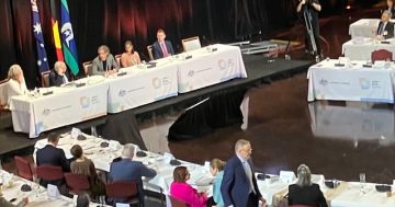 Jobs summit outcomes will mean extra pressure on public service