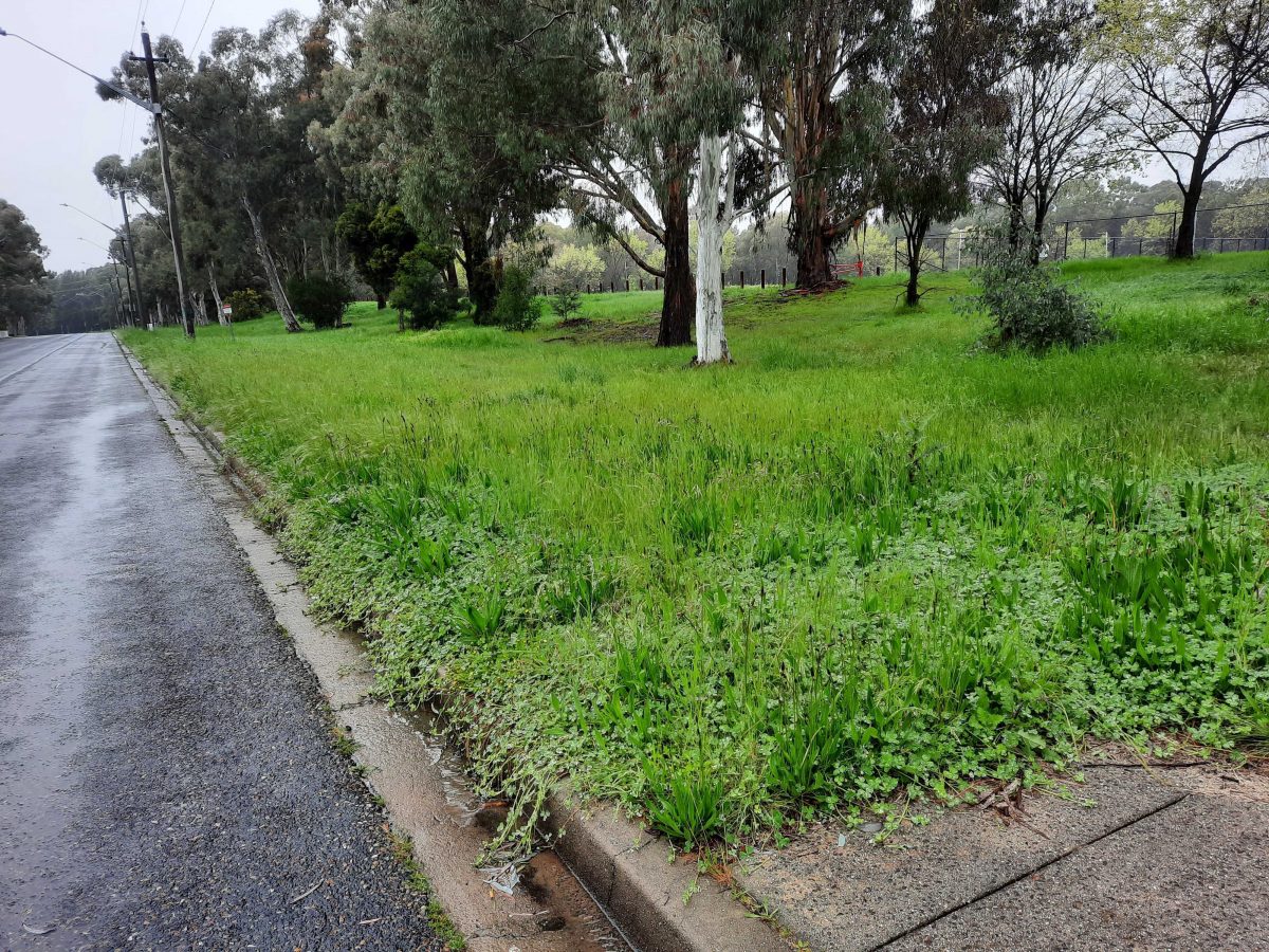 Streeton Drive