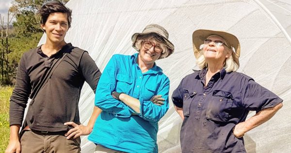 Take the first step on your farming journey with Stepping Stone Farm