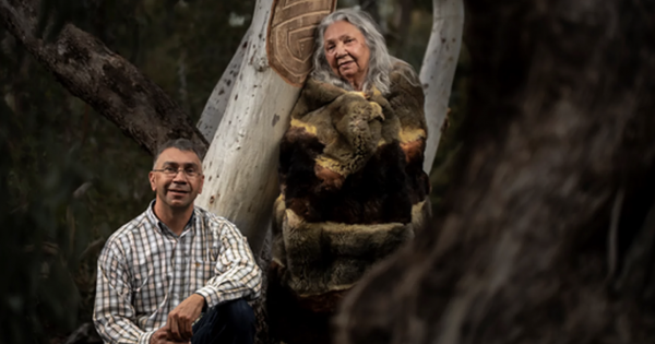 What makes good public art in Canberra? It's about more than giant sculptures