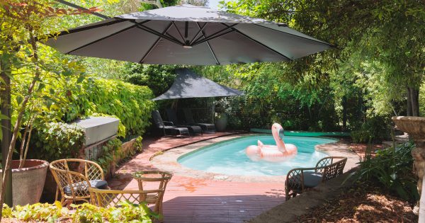 Spacious, modernist tropical oasis nestled in the beautiful bush surrounds of Aranda