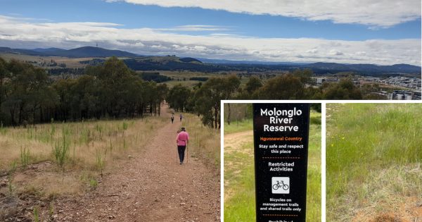 Years of campaigning has given the ACT a new nature reserve, but does it go far enough?