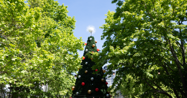 Sunny and not too hot - we might be in for the perfect Christmas