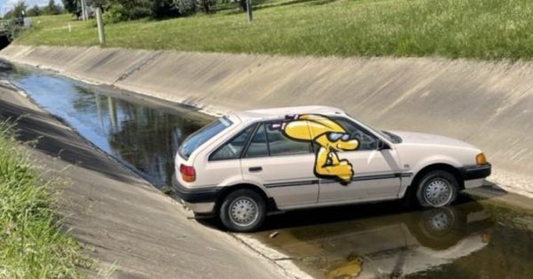 Ford in Lyneham stormwater channel becomes short-lived 'street art'
