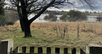Why farmers still rule the roost, rain, hail or (no) shine