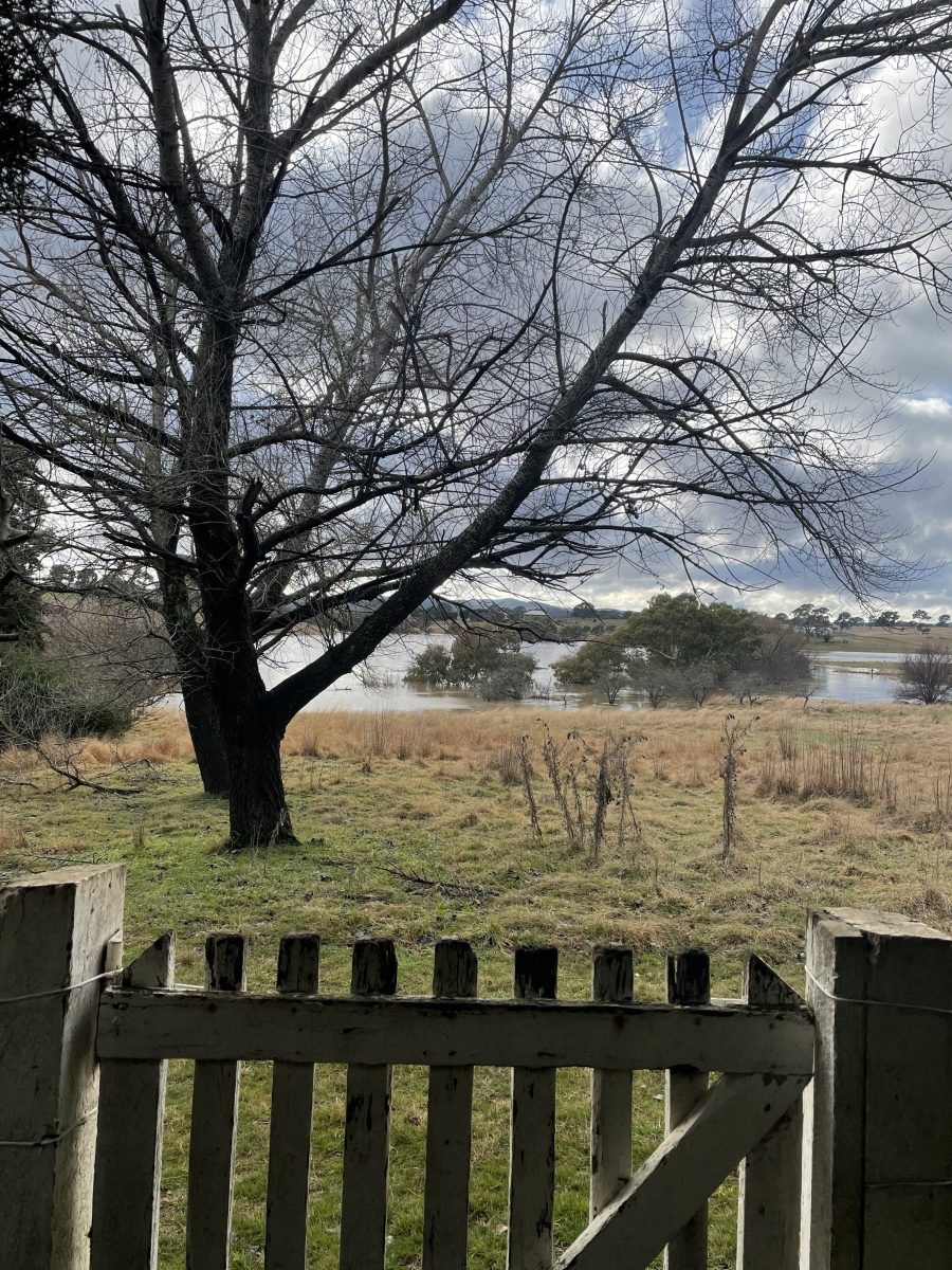 Rising river