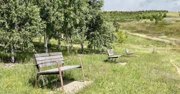 Mr Fluffy asbestos crisis to be remembered by 'place of reflection' at National Arboretum