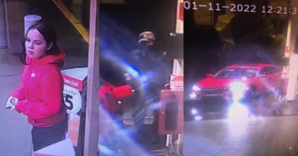 Call for witnesses after car allegedly deliberately driven at police