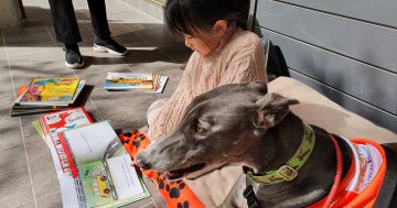 Dog-gone it, here's a good news story, fur real
