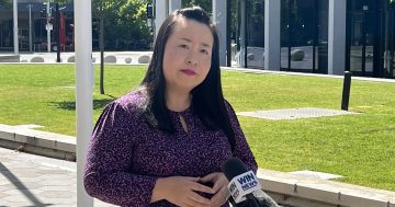 'Misunderstanding of the process': directorate denies data collection contract is a 're-election war chest'