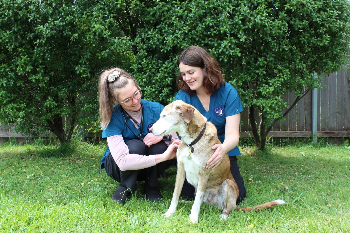 Two women with a dog