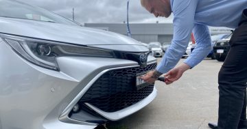 Car dealerships batten down the hatches as Summernats rolls in