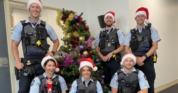 Support is a phone call away if you need Santa's helpers this Christmas