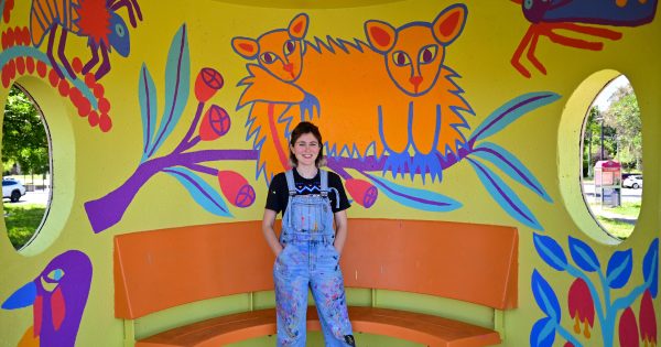 Lyons residents join forces to decorate local bus shelter