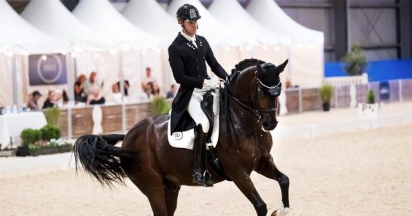 Rod Stewart tunes and spectacular sculptures to raise money for equestrian dreams