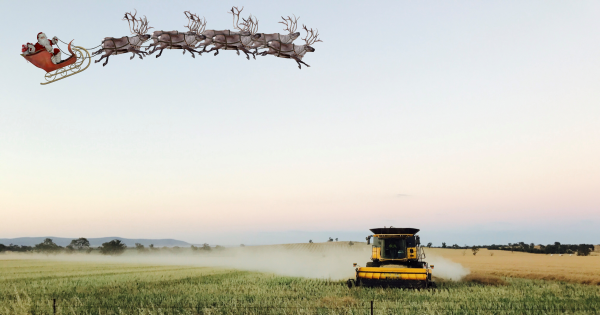 Harvests, fresh choc-coated cherries and the odd bushfire: Christmas in the bush was always different
