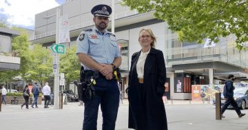 Silly season revellers and licensed venues put on notice with high-visibility police operation
