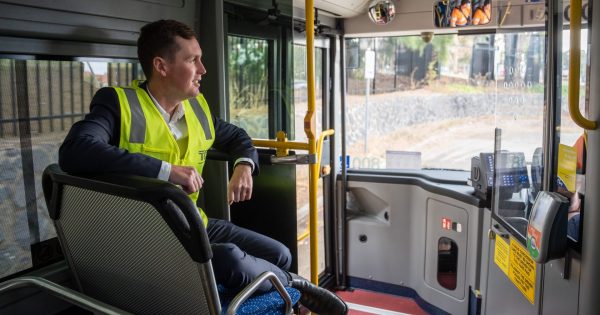 Driven to despair: Patrons the biggest losers as Government misses the bus again on weekend services